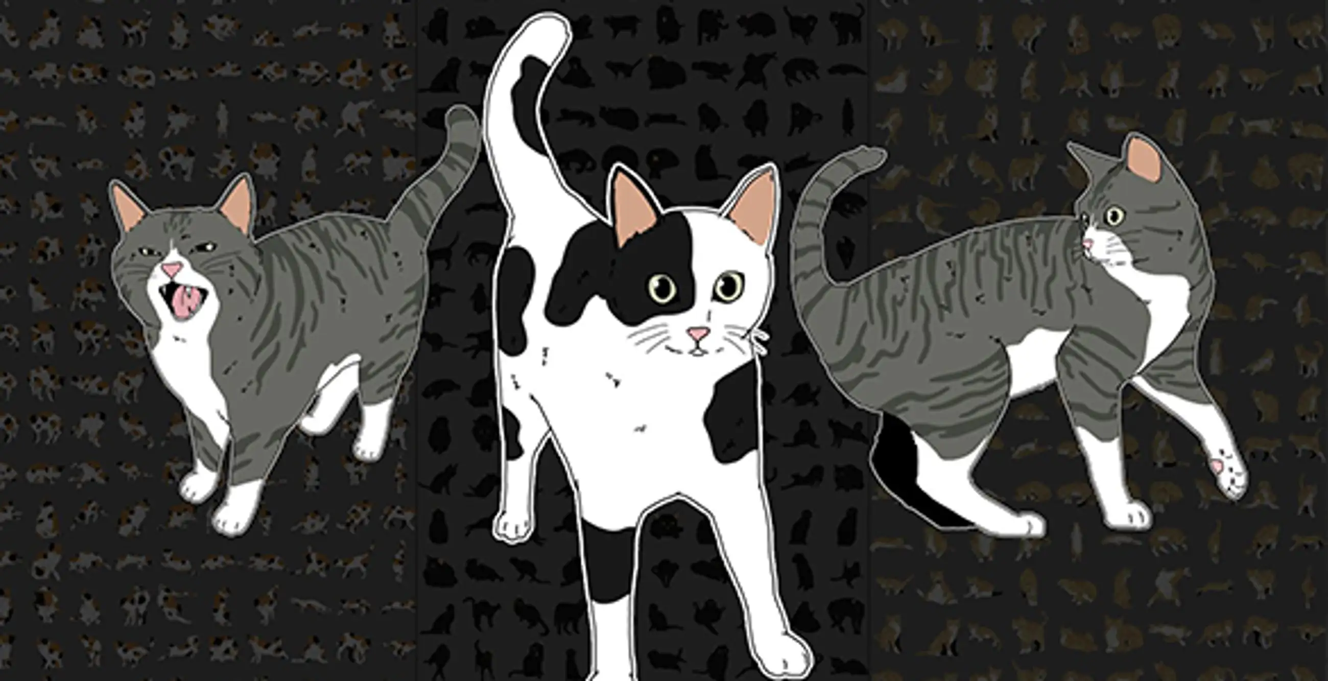 正面から見た猫 エクストラ21EA