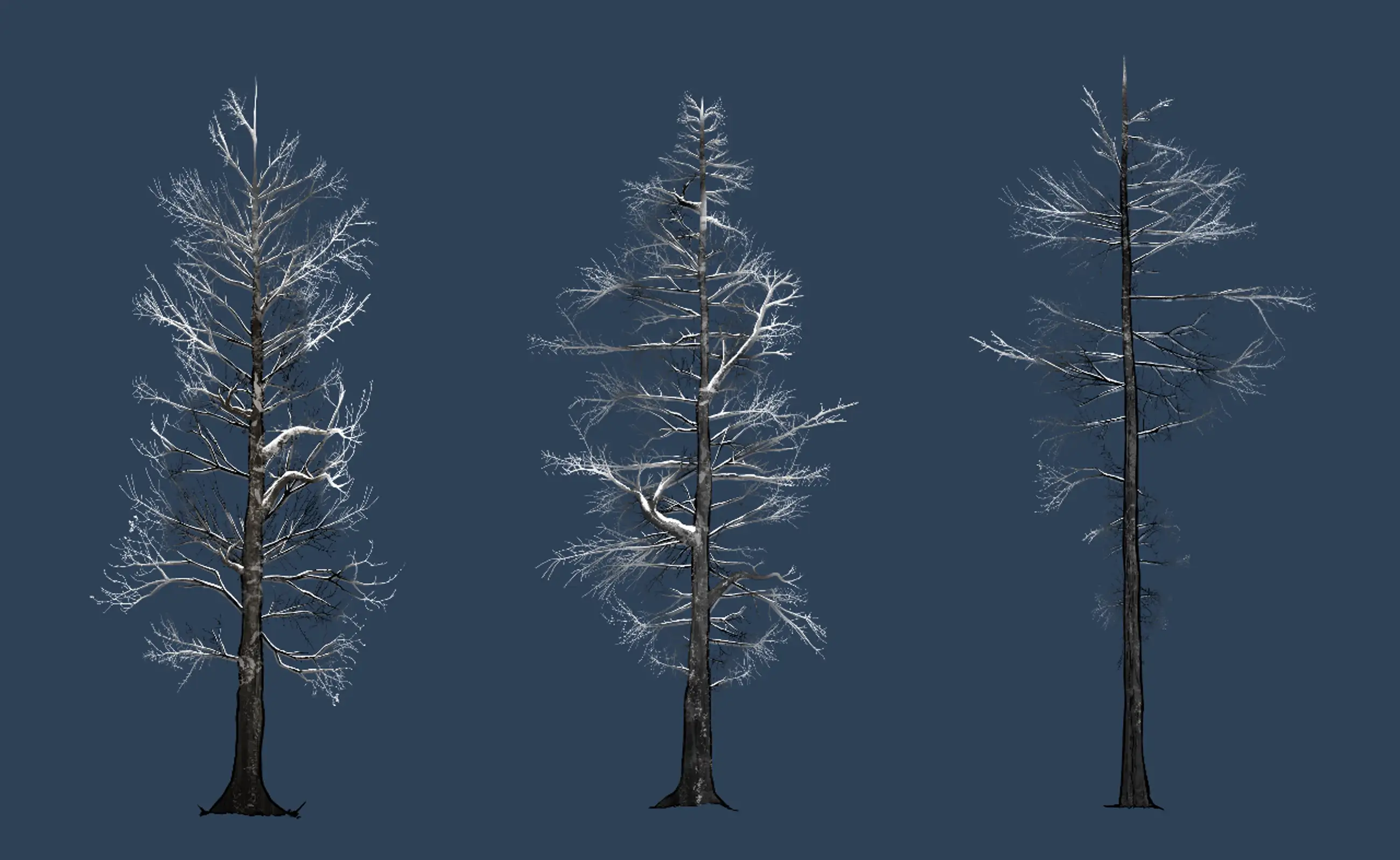 Winter branch