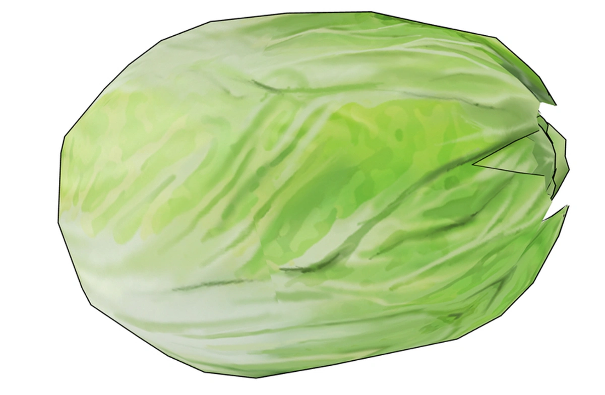 Napa cabbage