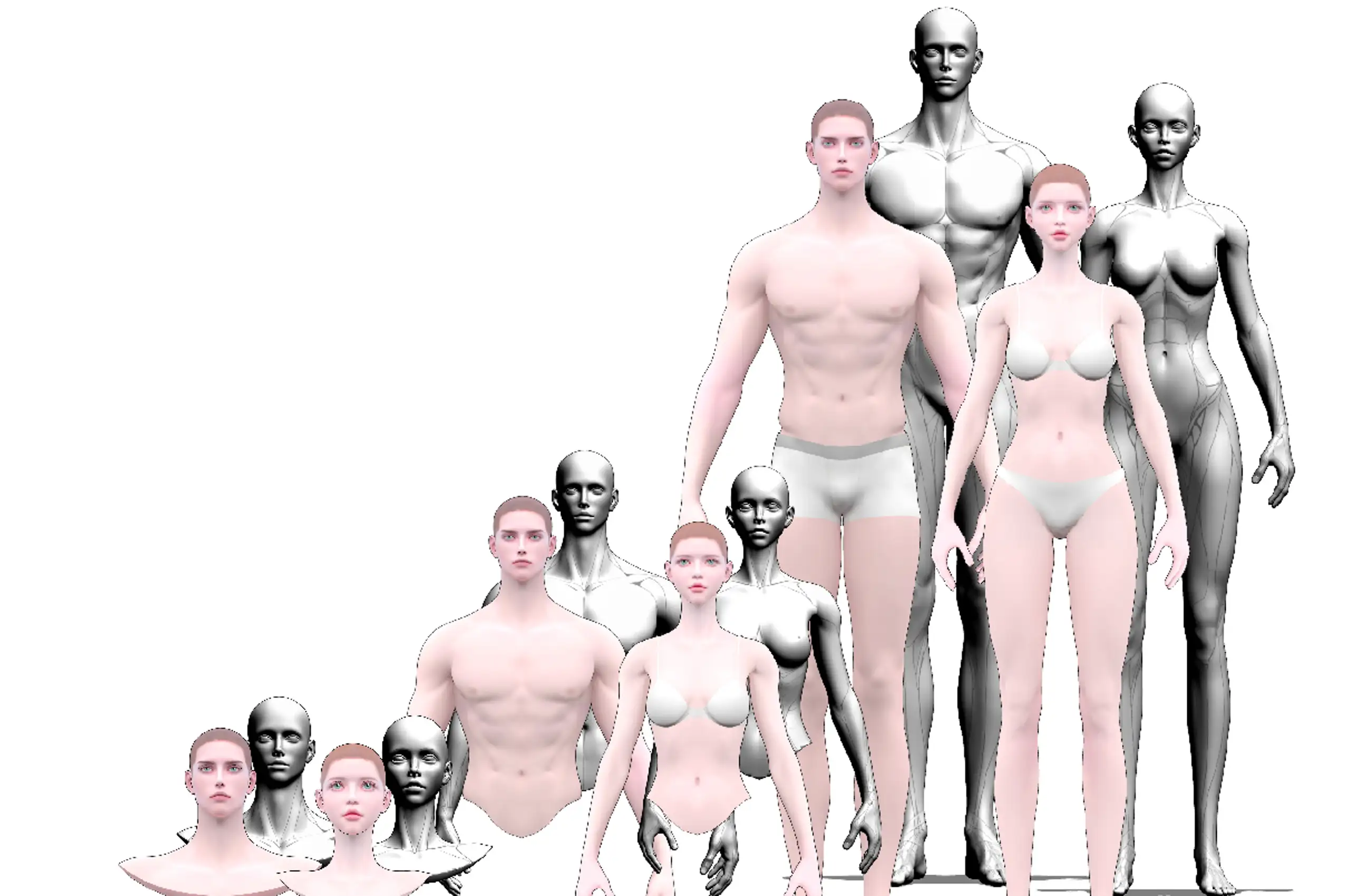 Super Model Ratio 3D Set for Easy Webtoon Production - Full Body & Half & Head Collection