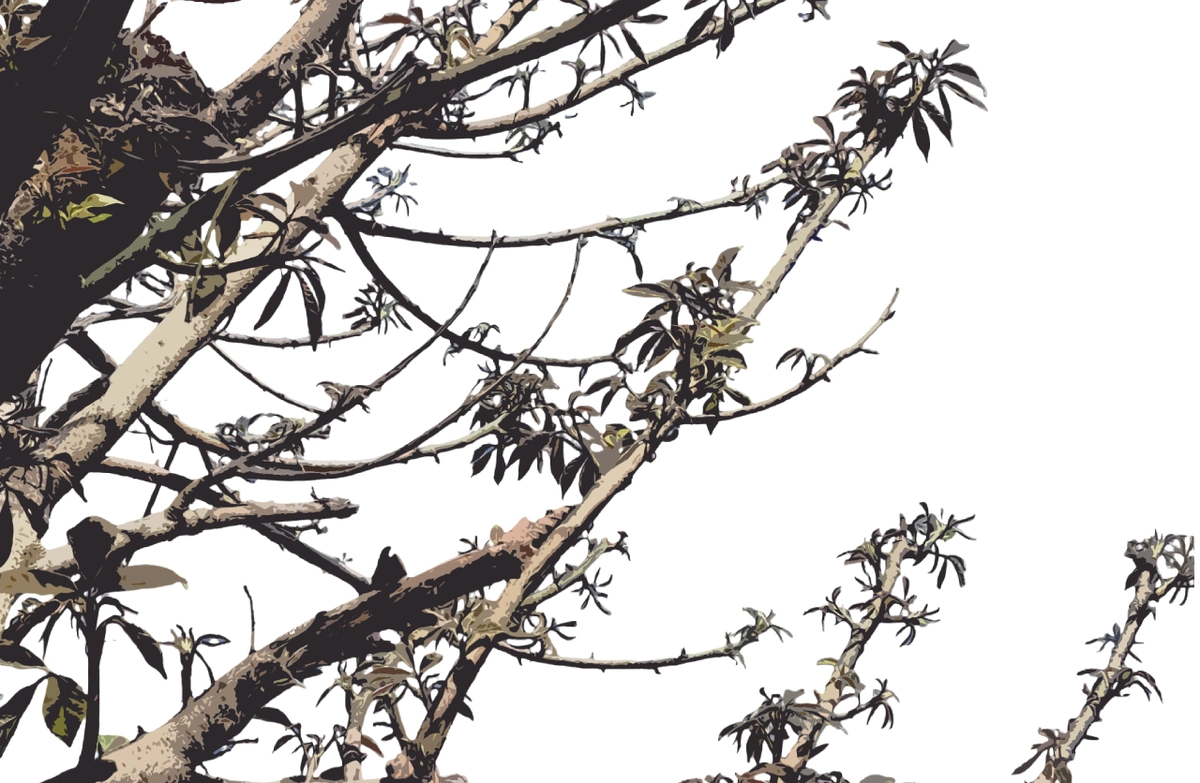 Withered tree 12 styles 3