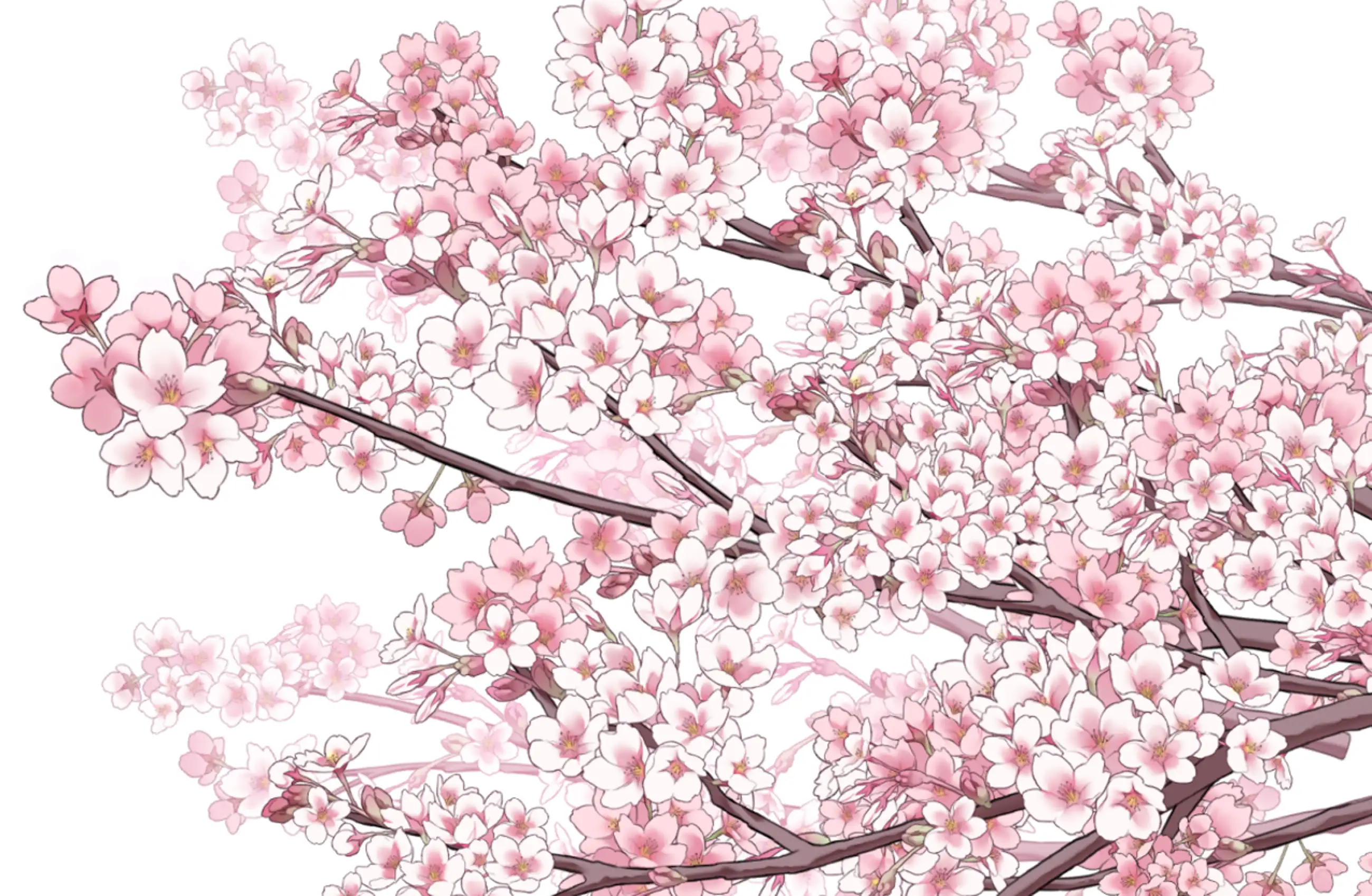 핑크빛 벚꽃 브러쉬