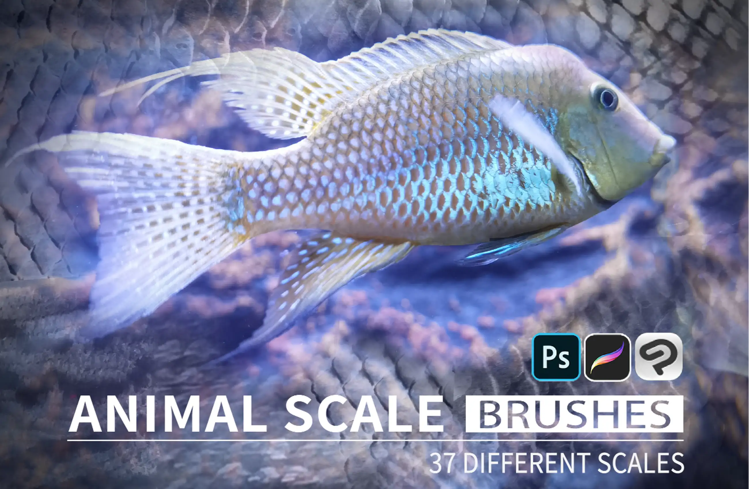 Animal Scale Brush (37 types)