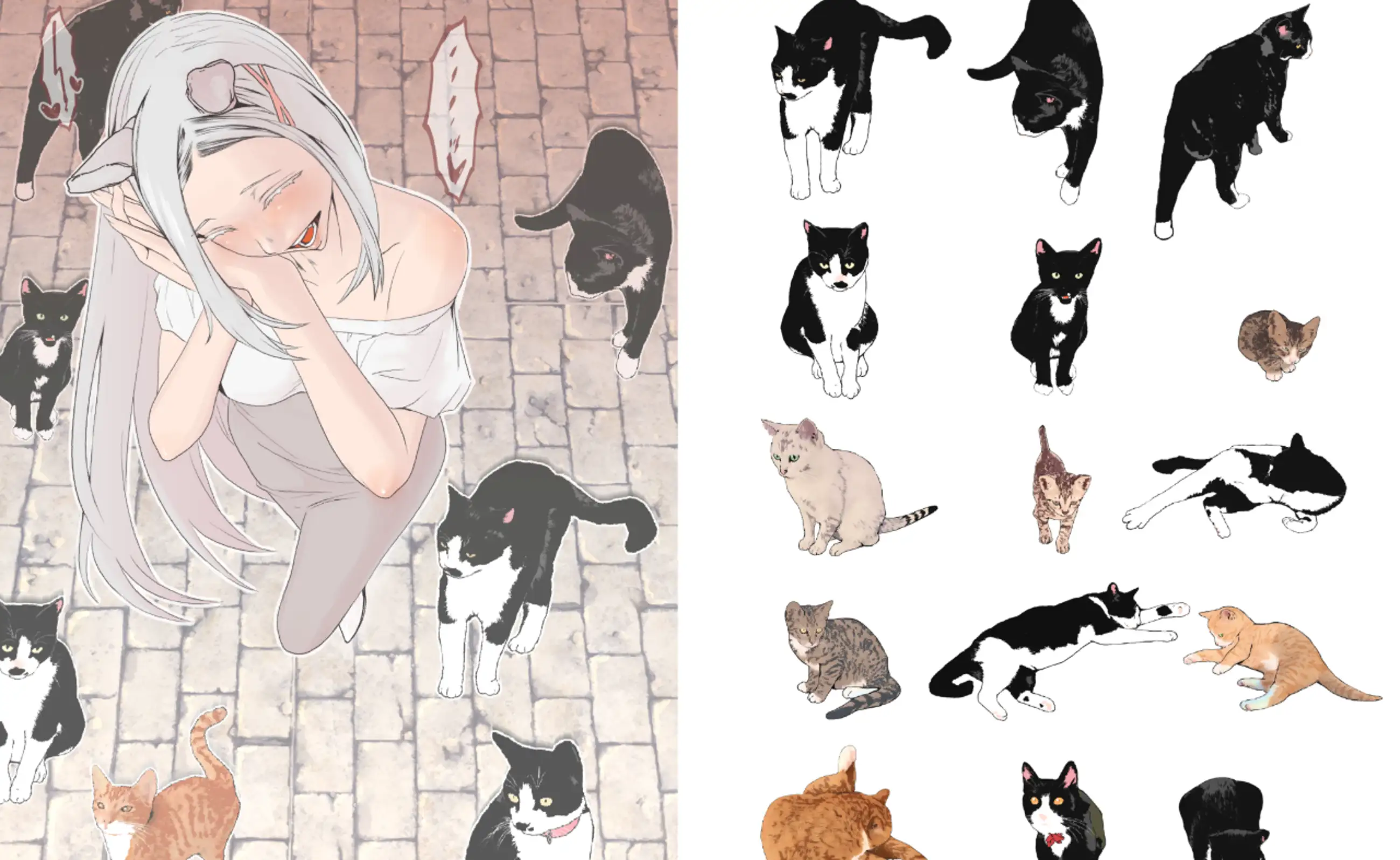 正面から見た猫 エクストラ21EA