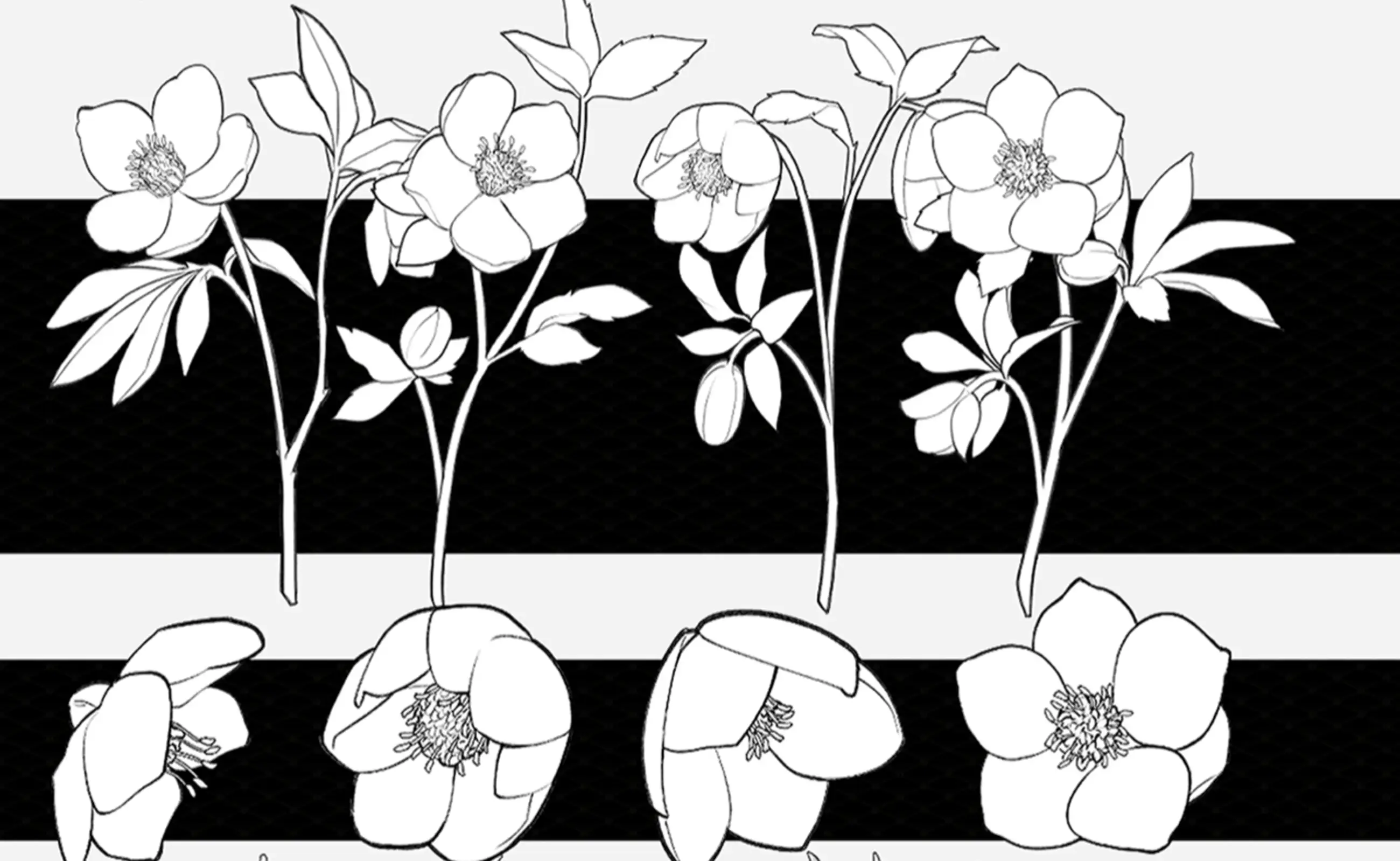 ウェブトゥーン 花 白黒 flower brush 10