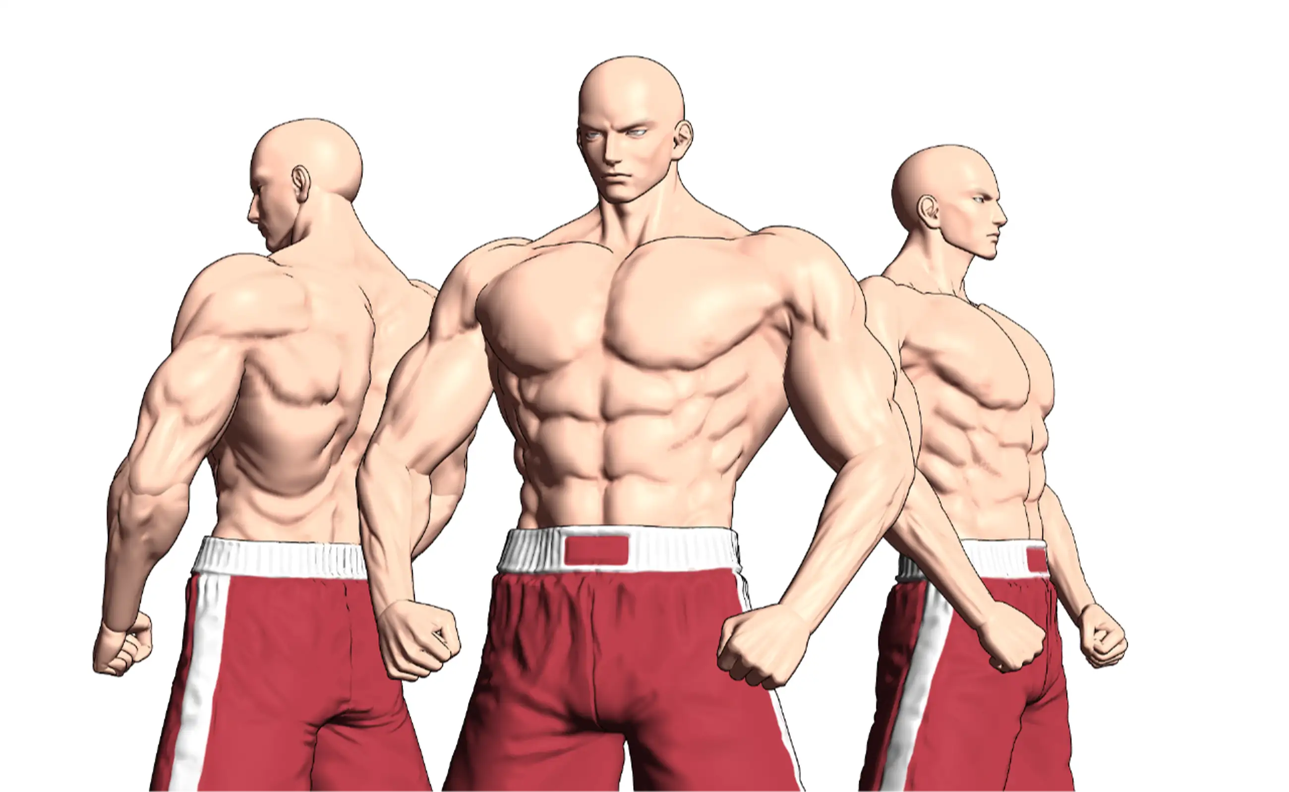 Pro Muscle 3D Modelling / Men