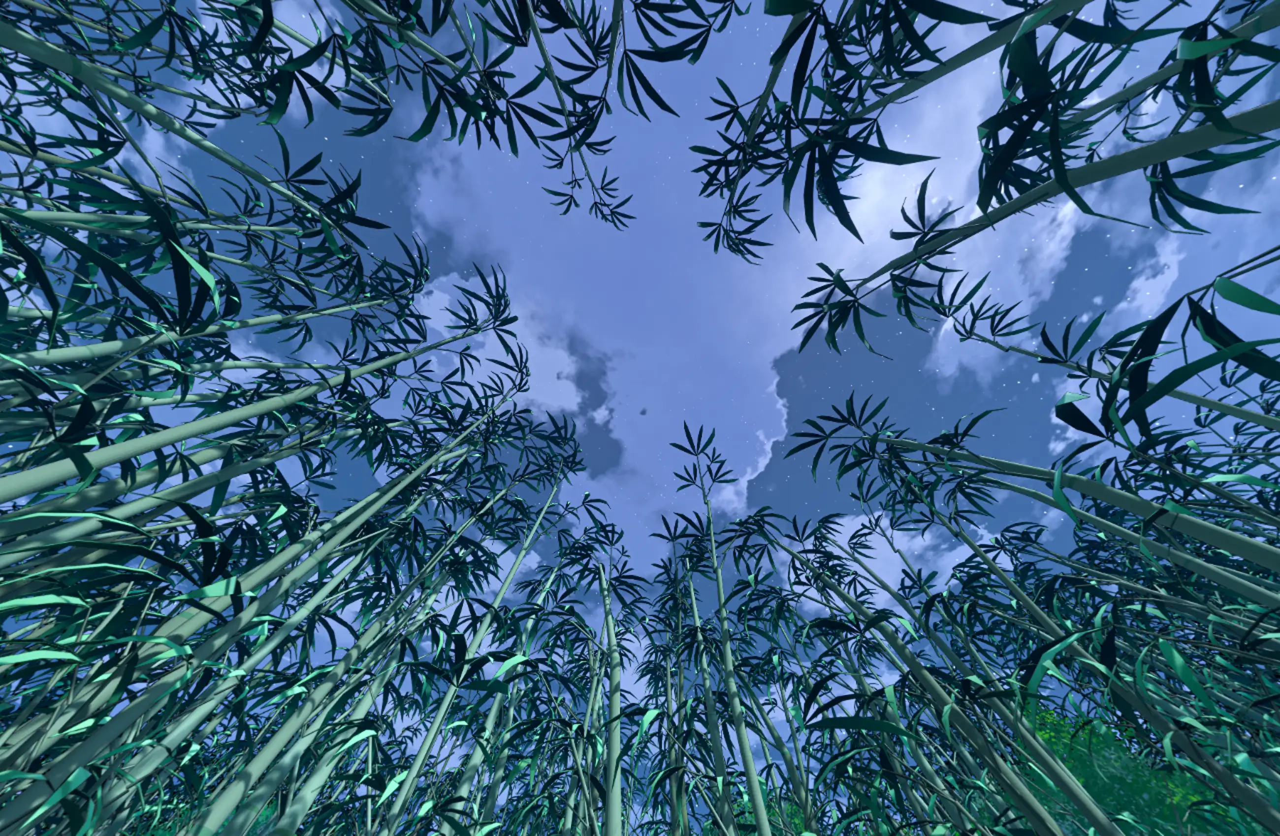 [360度パノラマ] 森の竹ver。