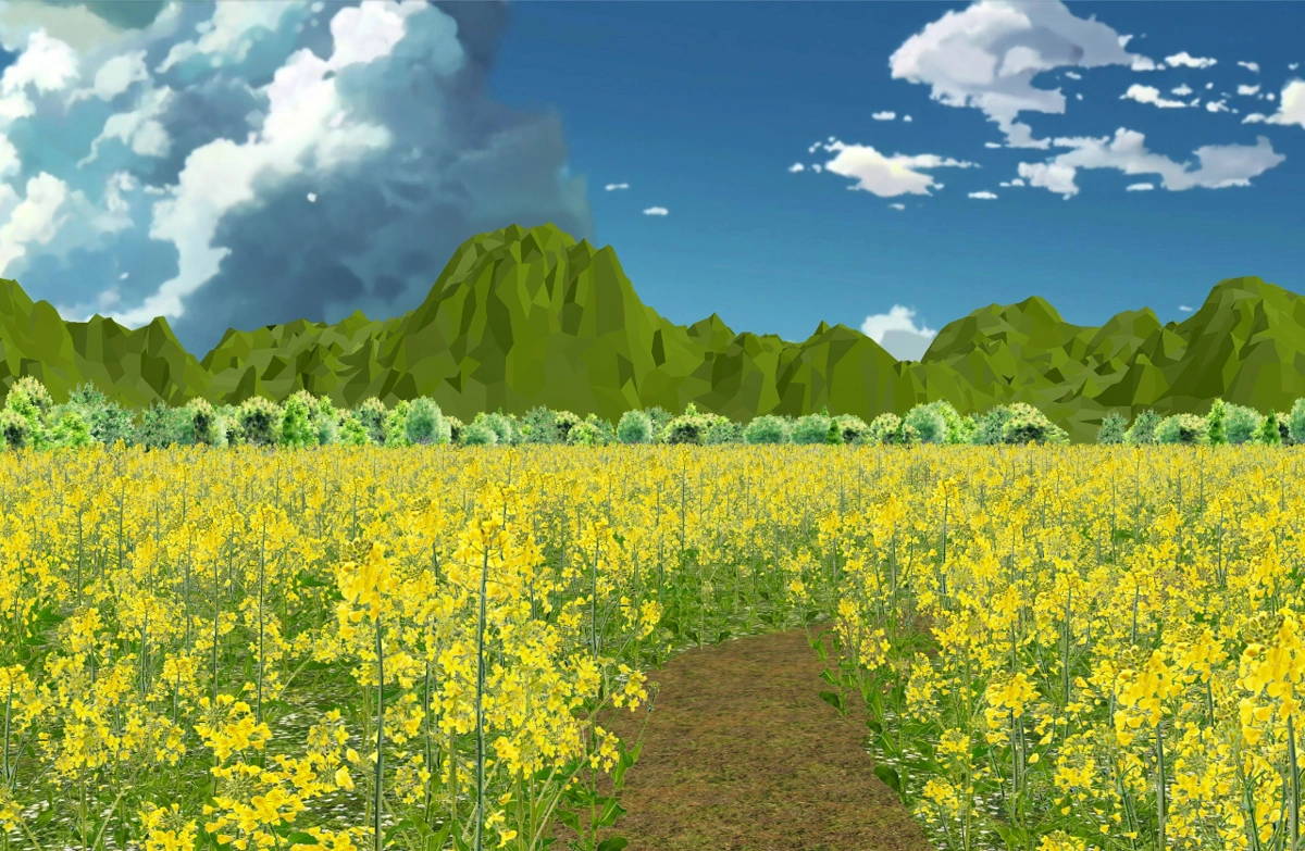 Large Field Of Rapeseed