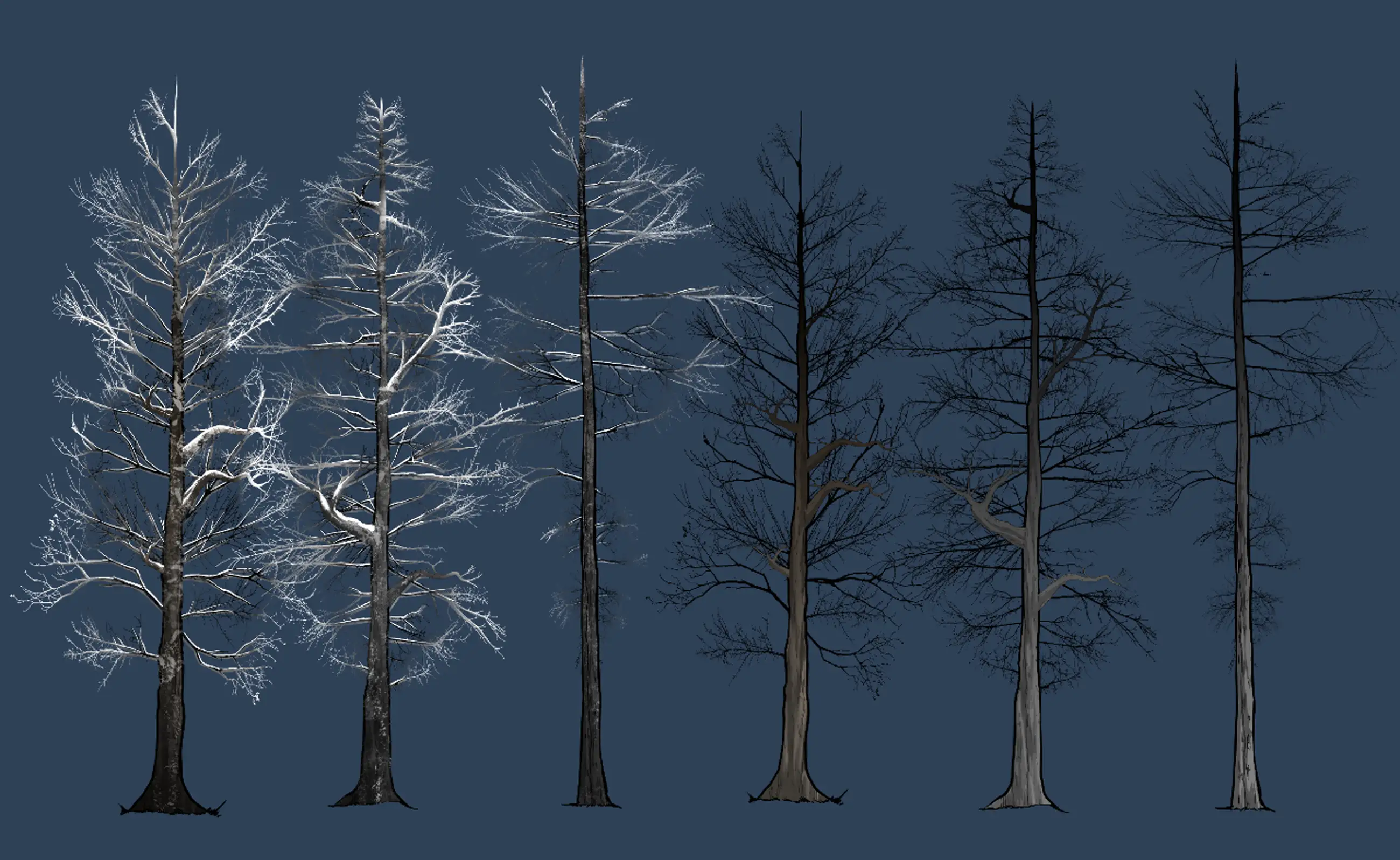 Winter branch