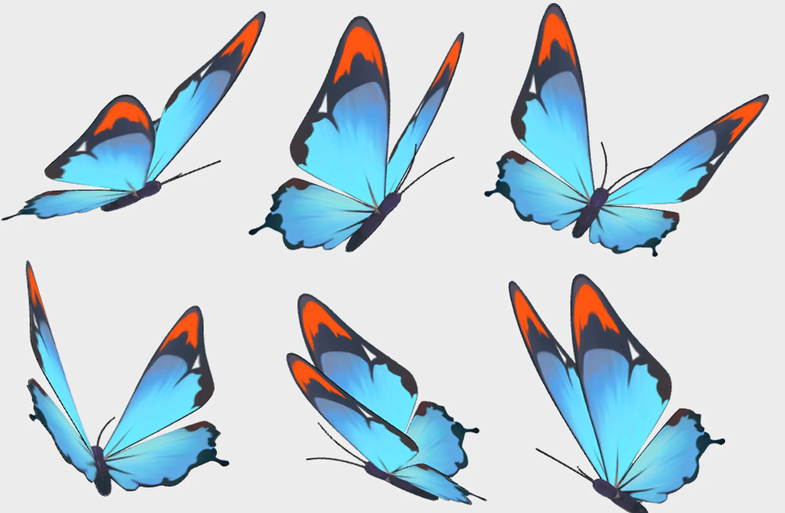 3D Modeling Hand Map Butterfly Series_Blue Butterfly