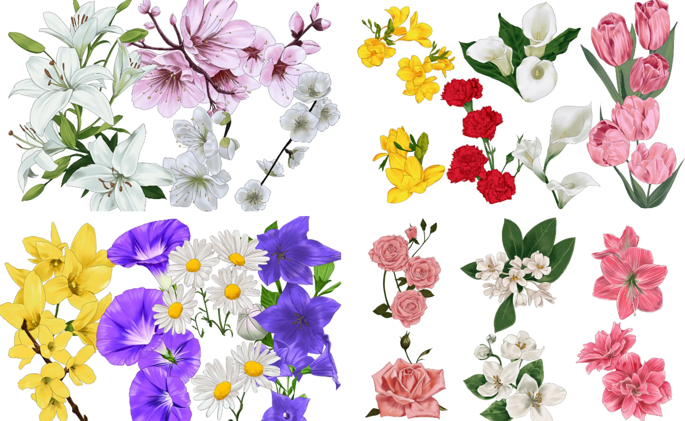 Collection of flowers that are good for the background (27 types)