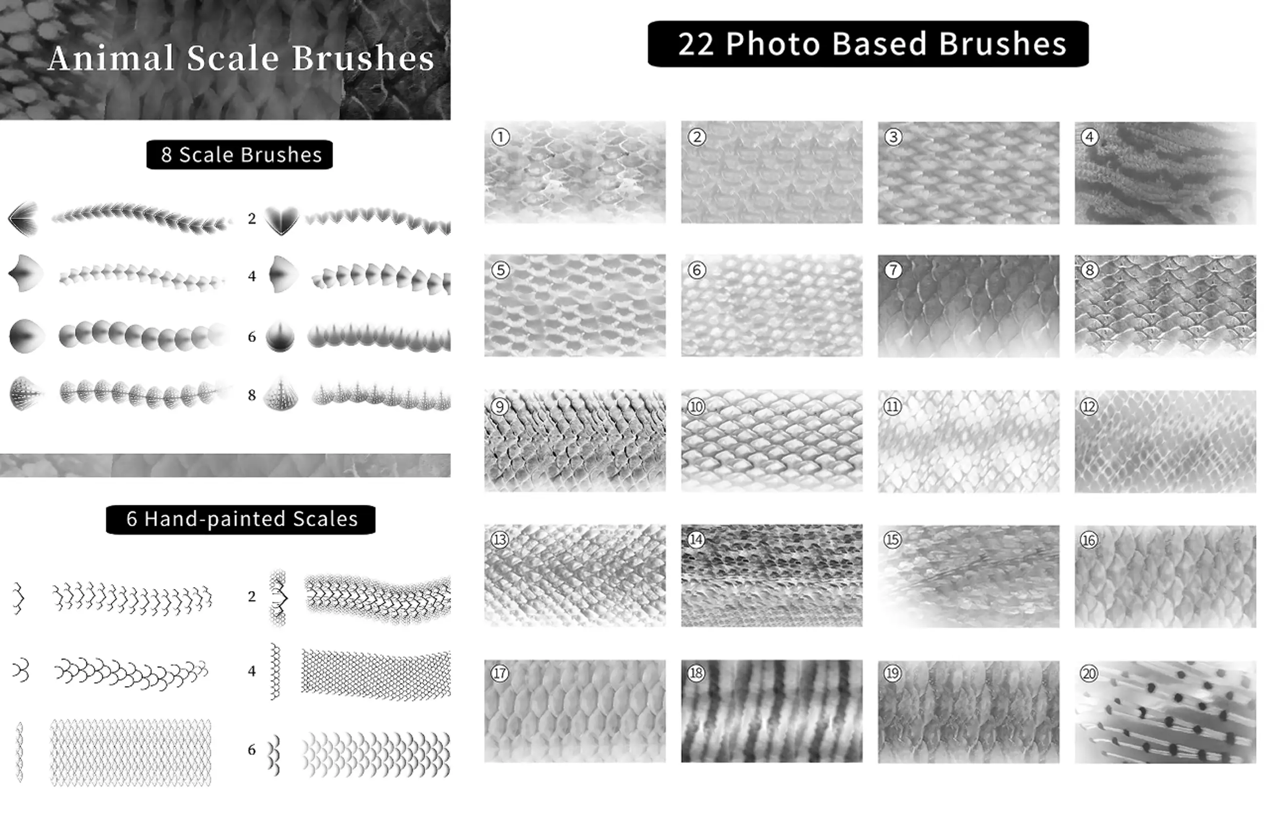 Animal Scale Brush (37 types)