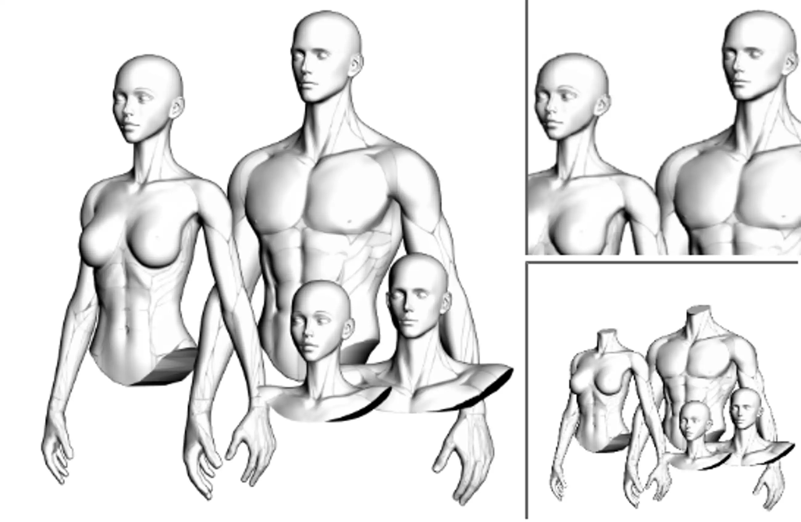 3D Set of Super Model Ratio for Easy Webtoon Production - Half Body & Head Collection