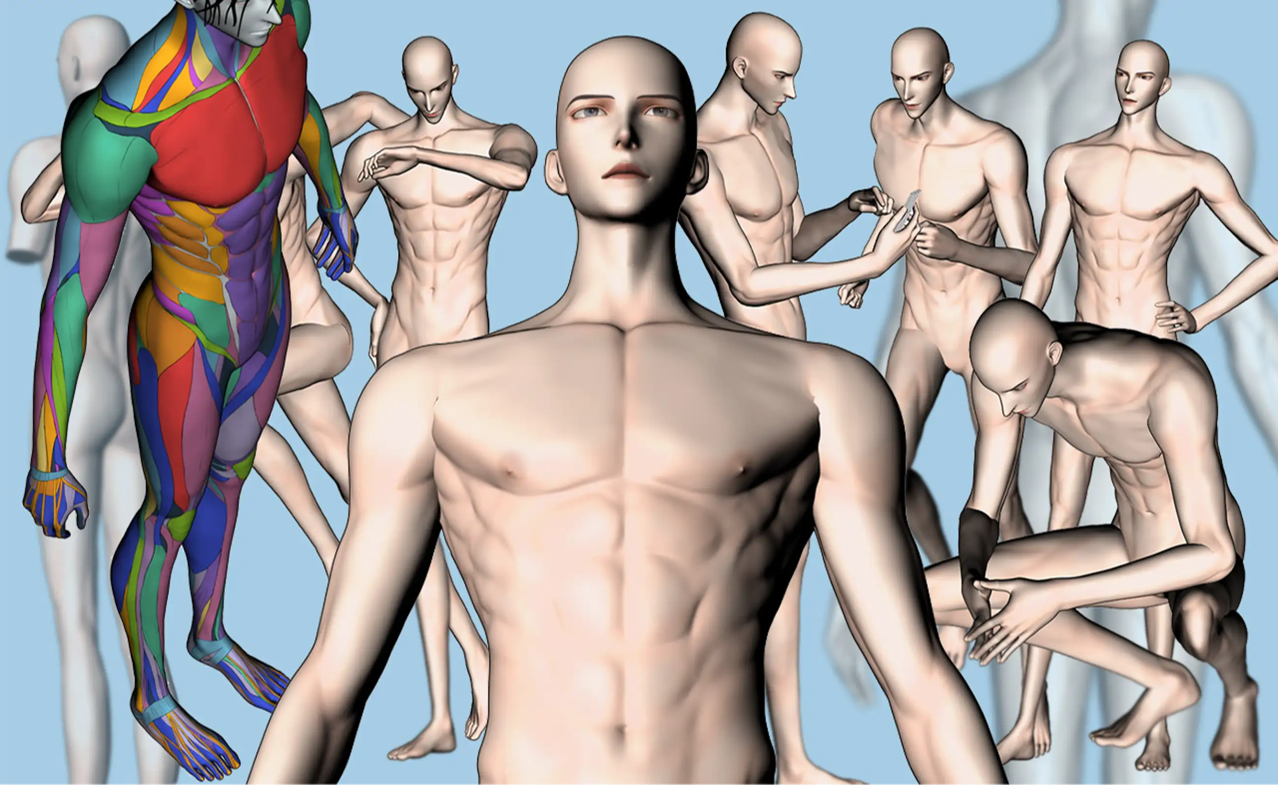 2 types of Male body Set and Basic Pose Collection (200 Poses each)