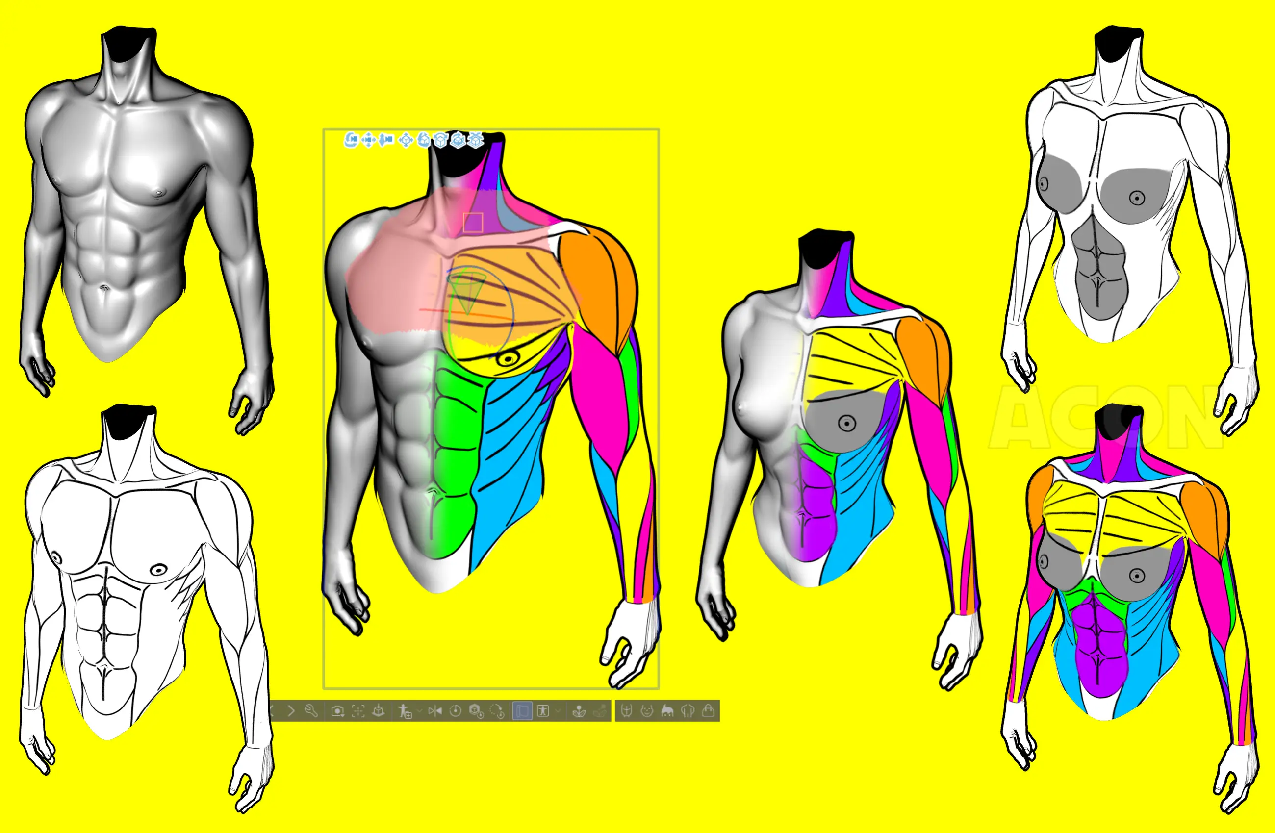 V-Shaped Muscular Body - CLIP STUDIO ASSETS