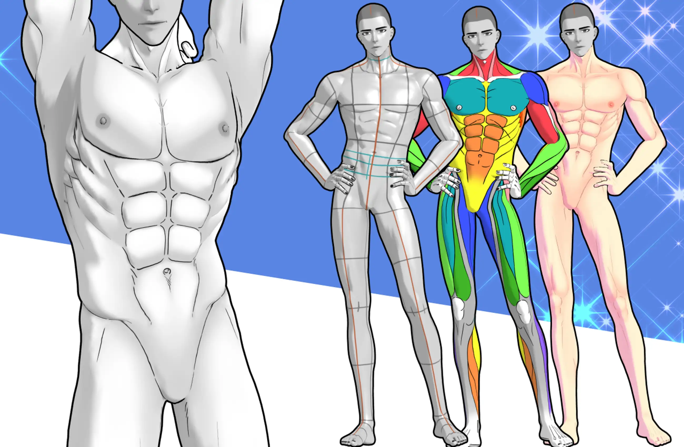 3D Muscular Man for CSP (A3)