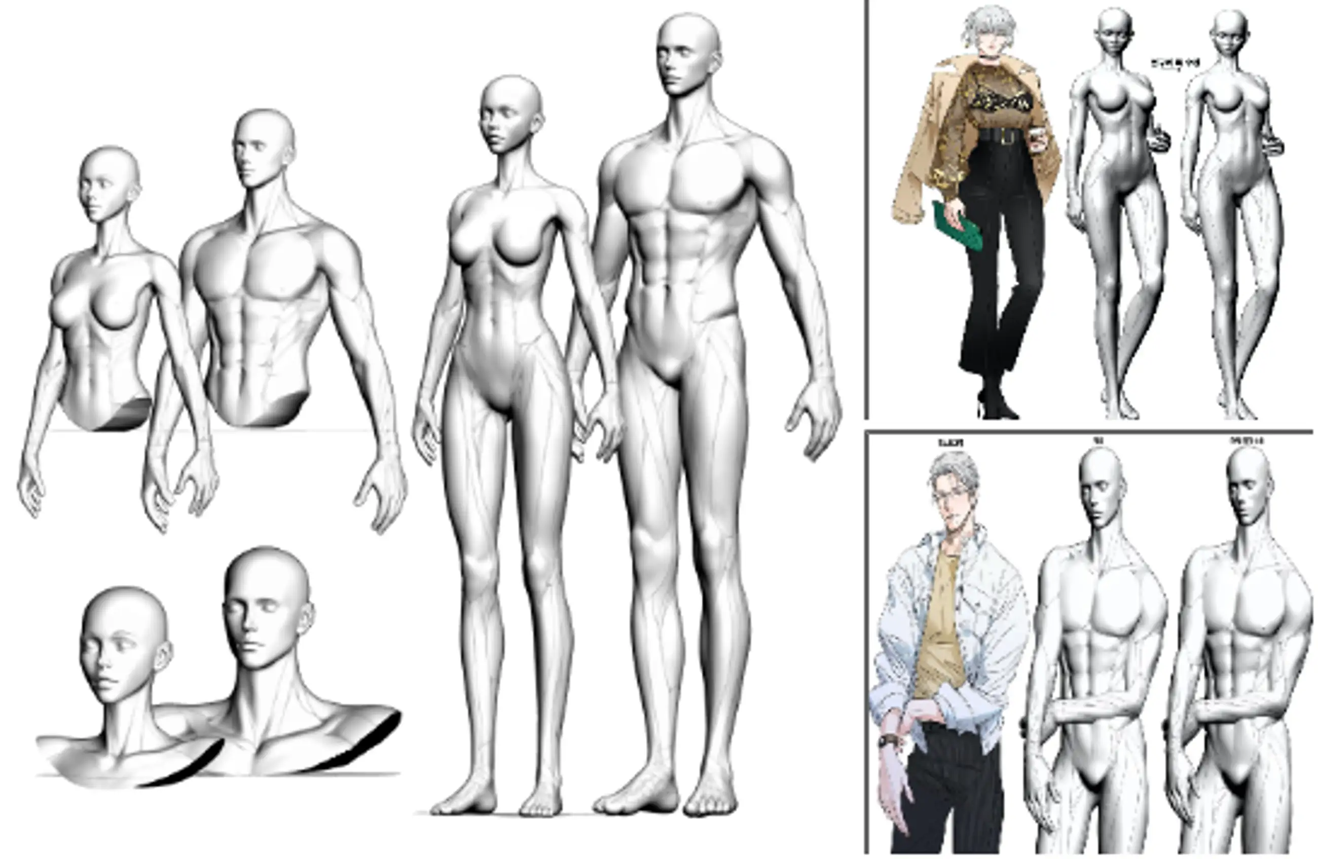 Super Model Ratio 3D Set for Easy Webtoon Production - Full Body & Half & Head Collection