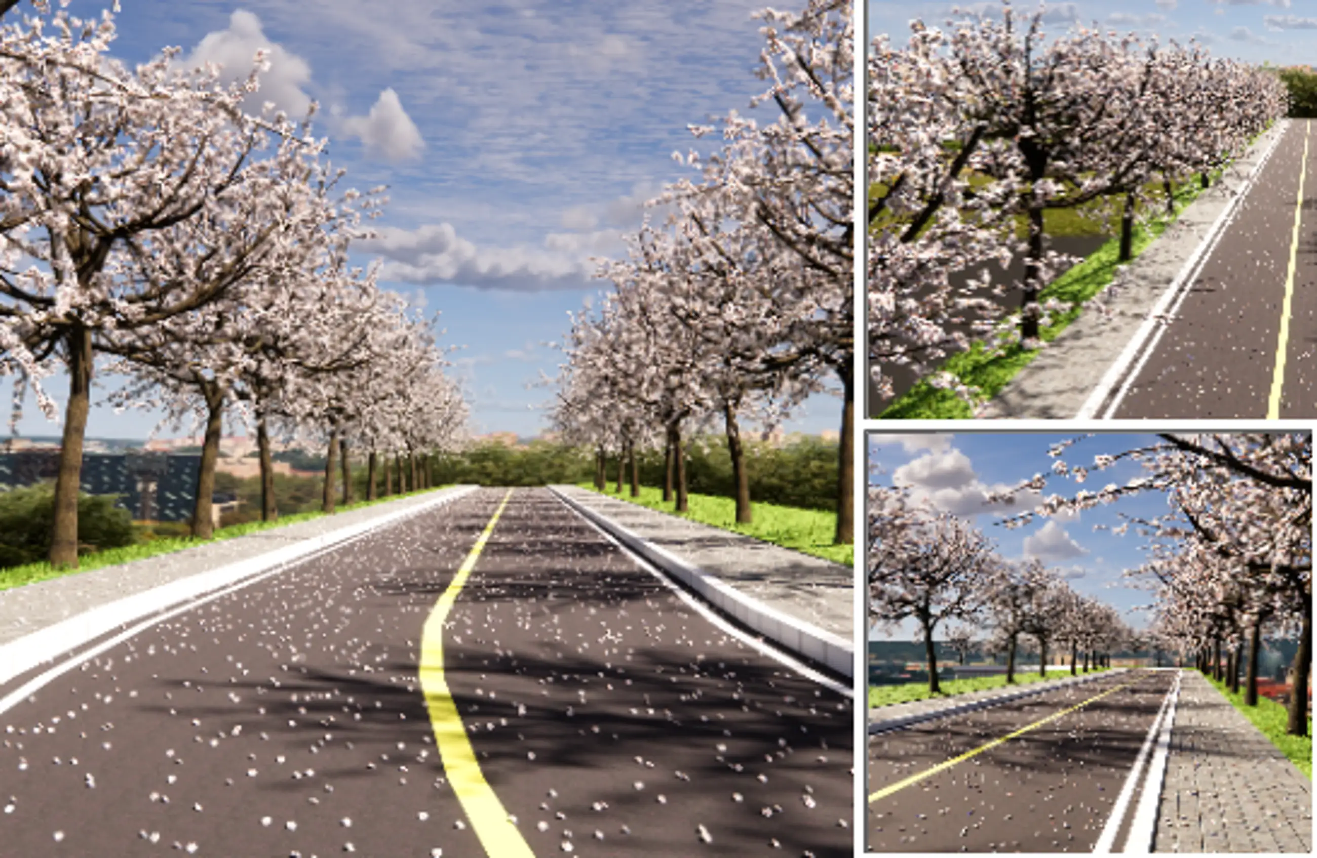 꽃과 나무 시리즈 -벚꽃 나들이 가요((Cherry blossom tree Road))