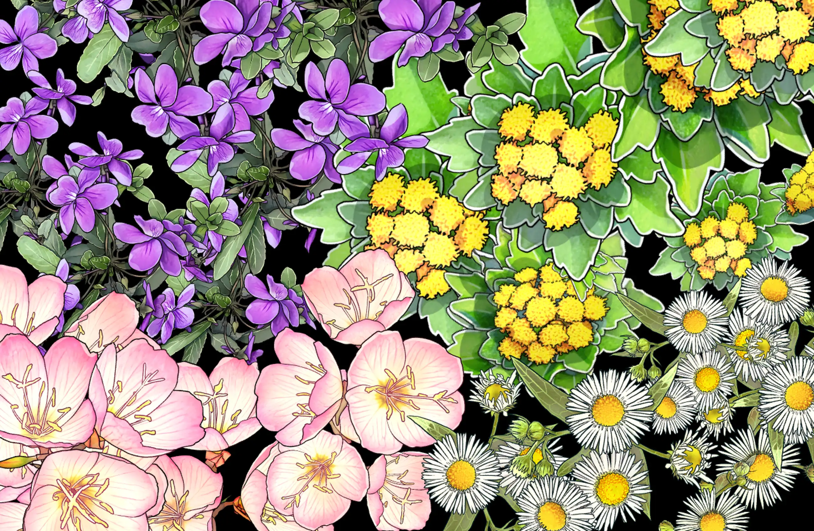 꽃 모음1 (4종)