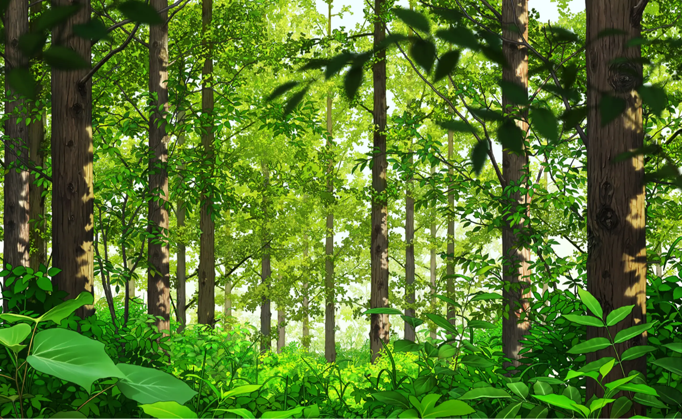 Drawing my own forest. "Kkommari Forest Brush Kit"