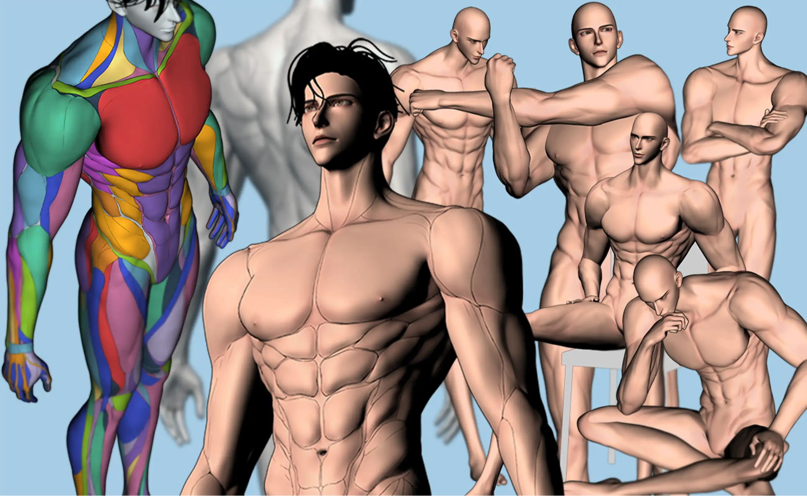 2 types of Male body Set and Basic Pose Collection (200 Poses each)