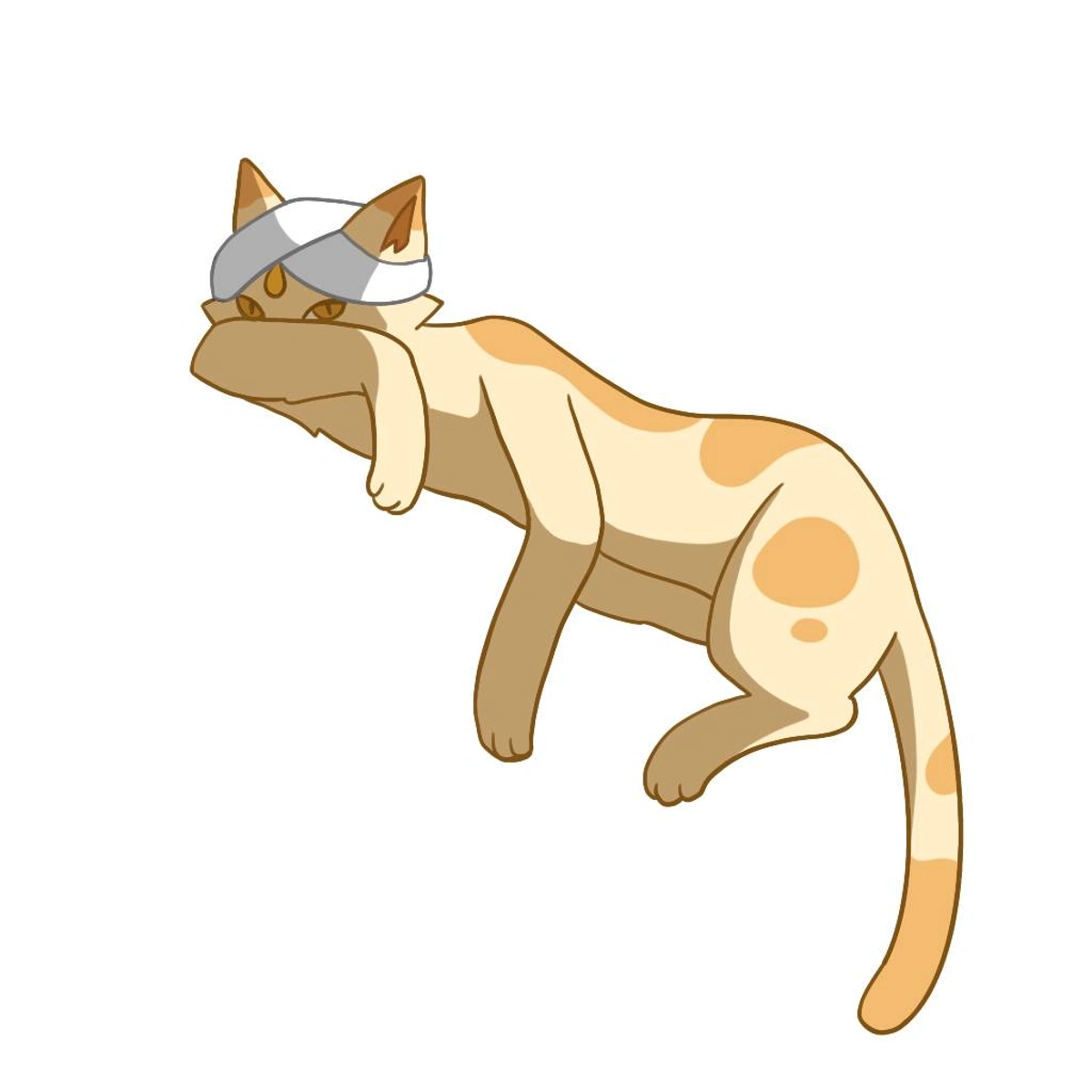 Cat illustration orange white 